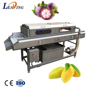 Индустриална електрическа озоновая машина за почистване на манго, автоматично измиване на плодове и зеленчуци